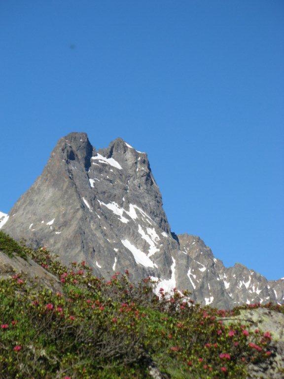 Alpina Appartement Sankt Leonhard im Pitztal Exterior foto